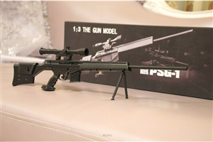 1:3 THE GUN MODEL PSG-1