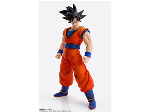 IMAGINATION WORKS SON GOKU (JPV)