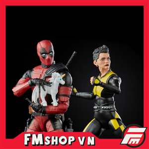 MARVEL LEGENDS DEADPOOL & NEGASONIC