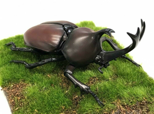 MODEL KIT RHINOCEROS BEETLE FUJIMI