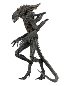 NECA XENOMORPH ALIEN DEFINACE CHINA VER