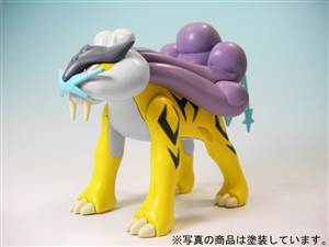 POKEMON NO 10 RAIKOU