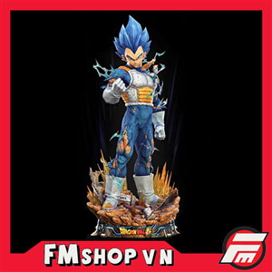 COPY RESIN VEGETA