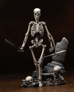 REVOLTECH SKELETON