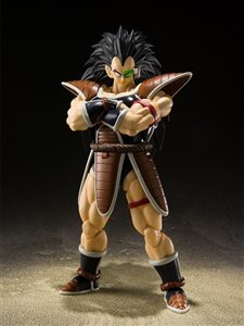 SHF RADITZ