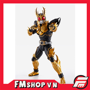 SHF (SHINKOCCHOU SEIHOU) KAMEN RIDER RISING ULTIMATE KUUGA