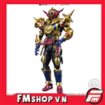 (NO BOX) SHODO KAMEN RIDER EVOL PHASE 1