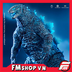 HIYA TOYS GODZILLA ENERGIZED