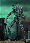 NECA ALIEN XENOMORPH WARRIOR BLUE CHINA VER