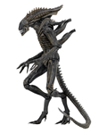 NECA XENOMORPH ALIEN DEFINACE CHINA VER