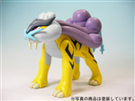 POKEMON NO 10 RAIKOU