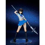 PVC 1/7 STRIKE THE BLOOD YUKINA HIMERAGI