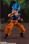 SHF DRAGON BALL TENACIOUS