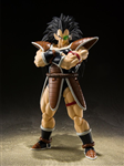 SHF RADITZ