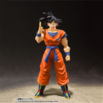 SHF SONGOKU A SAIYAN RAISE ON EARTH