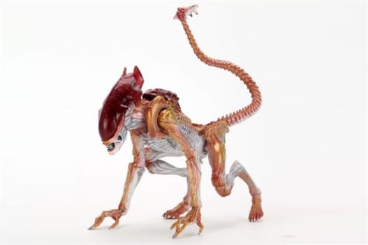 Mua bán NECA PANTHER ALIEN WITH MAGNETIC ATTACK PARASITE