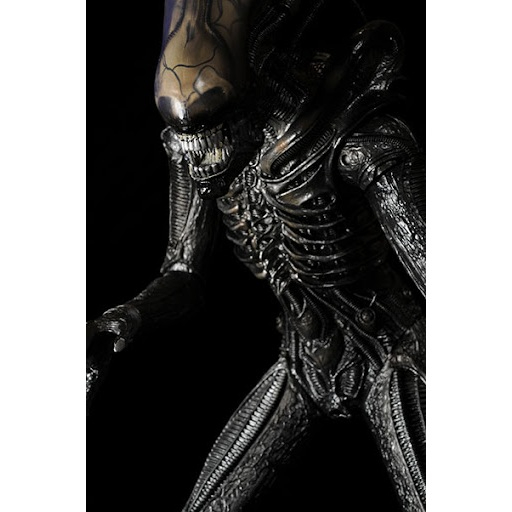 Mua bán MÔ HÌNH 18 INCH NECA ALIEN XENOMORPH 18 INCH BL