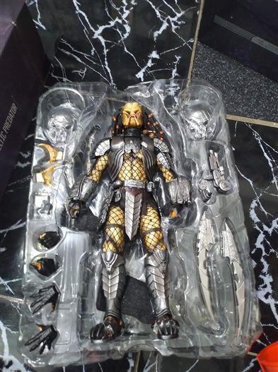 Mua bán HOTTOYS CELTIC PREDATOR AVP (THIẾU ĐỒ)