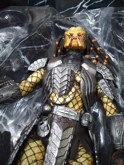 Mua bán HOTTOYS CELTIC PREDATOR AVP (THIẾU ĐỒ)