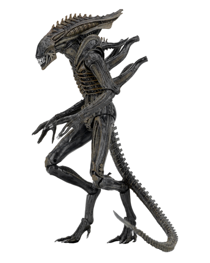 Mua bán NECA XENOMORPH ALIEN DEFINACE CHINA VER