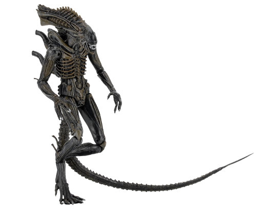 Mua bán NECA XENOMORPH ALIEN DEFINACE CHINA VER