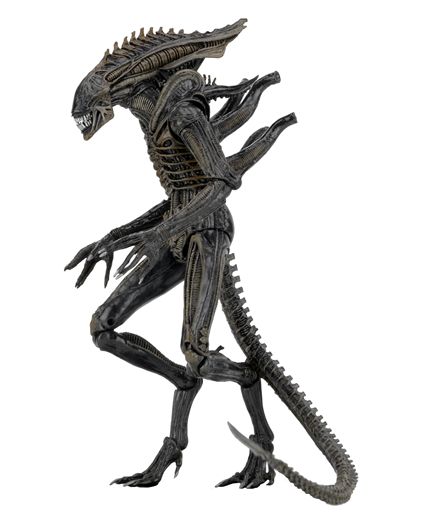 Mua bán NECA ALIEN XENOMORPH FAKE