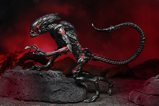 Mua bán NECA NIGHT COUGAR ALIEN WITH MAGNETIC KAMIKAZE PARASITE