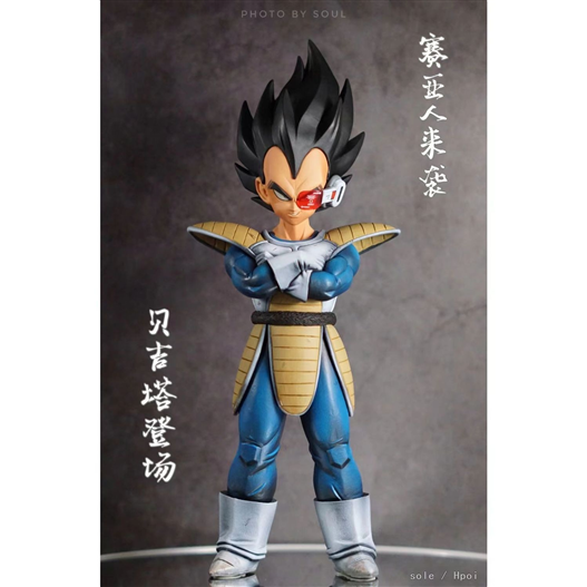 Mua bán PVC VEGETA FAKE