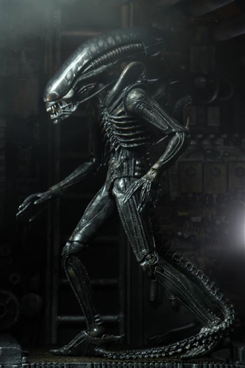 Mua bán NECA ALIEN BIG CHAP ULTIMATE EDITION 2ND