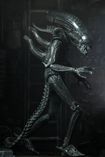 Mua bán NECA ALIEN BIG CHAP ULTIMATE EDITION 2ND