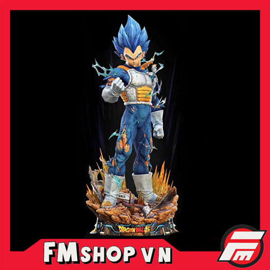 Mua bán COPY RESIN VEGETA