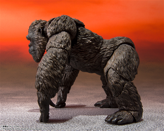 Mua bán [PRE-ORDER] SHM KONG (KONG VS GODZILLA 2021) (HK VER)