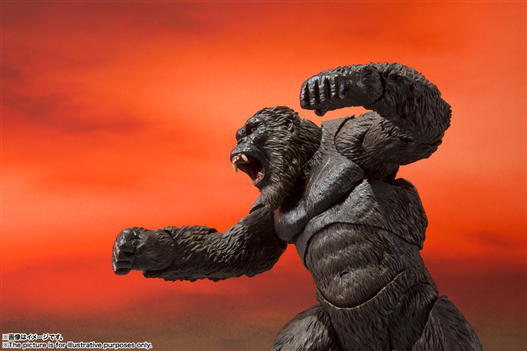 Mua bán [PRE-ORDER] SHM KONG (KONG VS GODZILLA 2021) (HK VER)