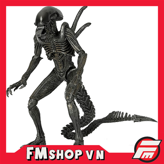 Mua bán NECA ALIEN WARRIOR AVP CHINA VER